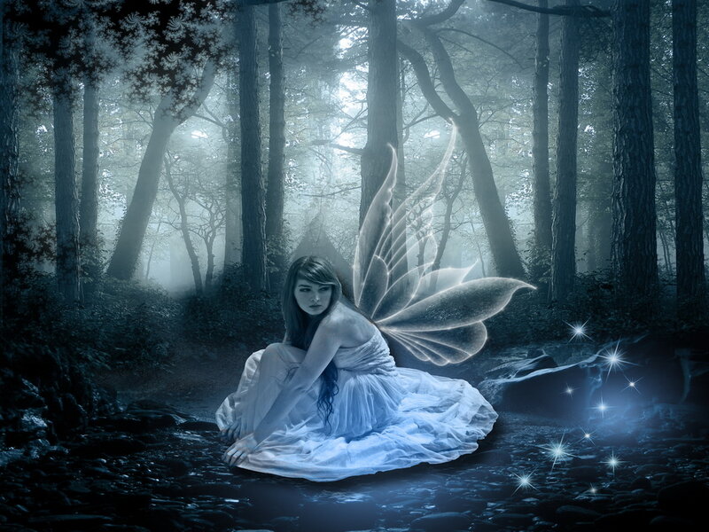 Fairy in Forest — Blue, Mystical, Night, Digital Art, Wings