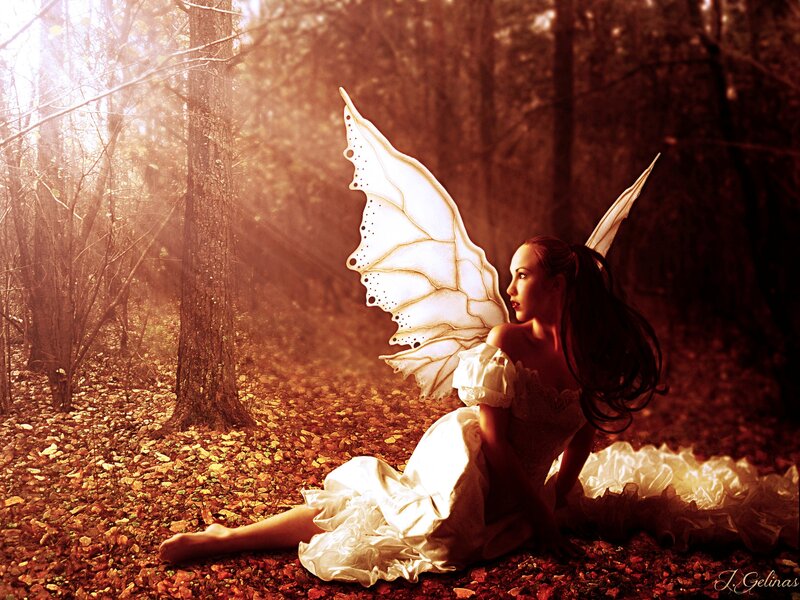 Fairy in Forest — Brown, Dramatic, Autumn, Digital Art