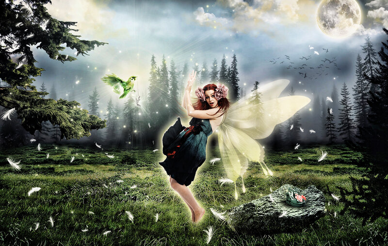 Fairy in Forest — Green, Magical, Night, Digital Art, Bird