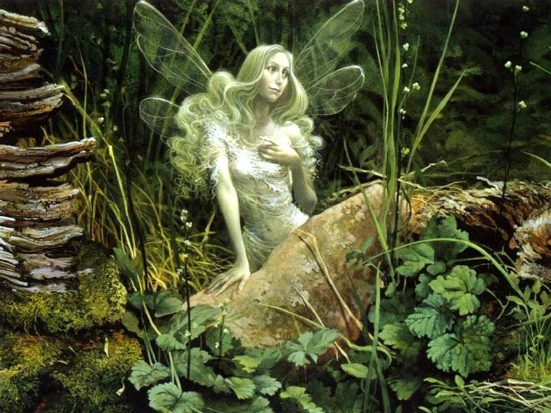 Fairy in Forest — Green, Serene, Illustration
