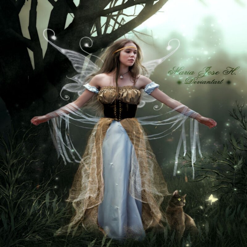 Fairy in Forest — Green, Serene, Night, Digital Art, Cat