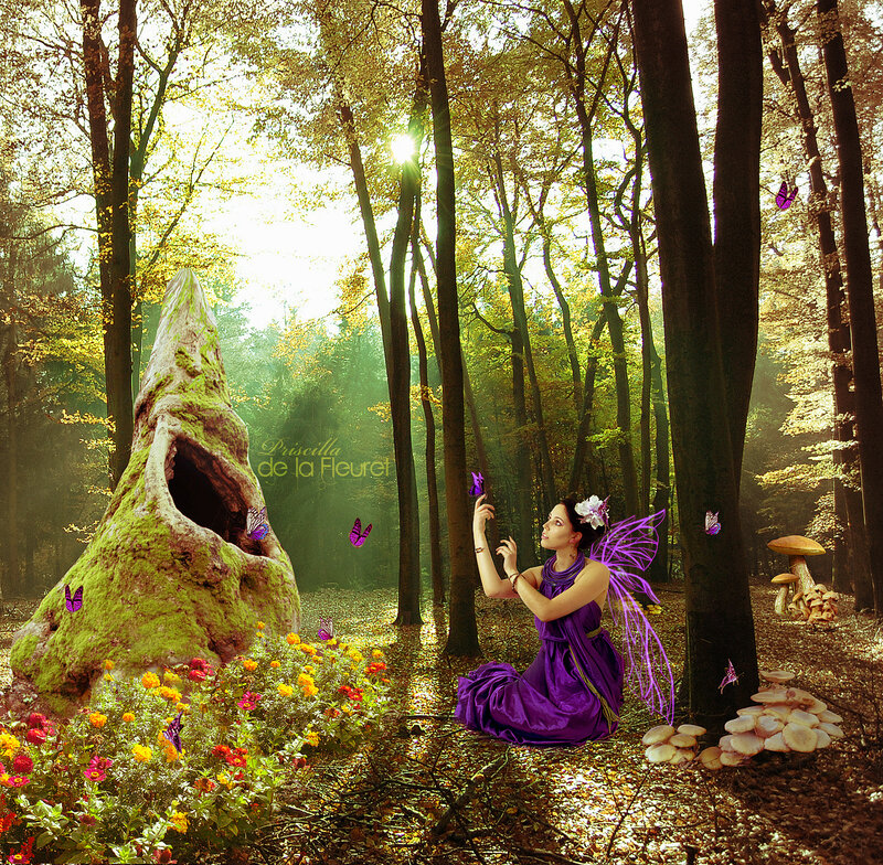 Fairy in Forest — Purple, Serene, Afternoon
