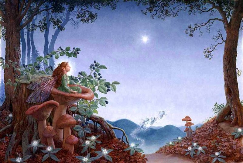 Fairy in Forest — Purple, Serene, Night