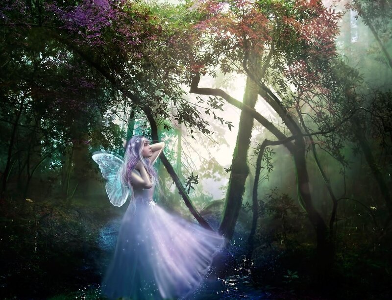 Fairy in Forest — Purple