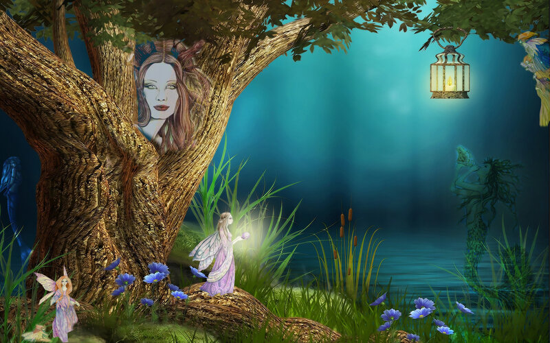 Fairy in Forest