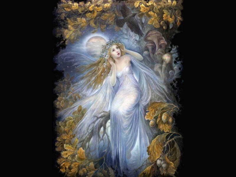 Fairy in Forest — White, Serene, Night
