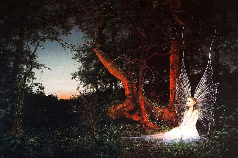 Fairy in Forest — White, Serene, Sunset