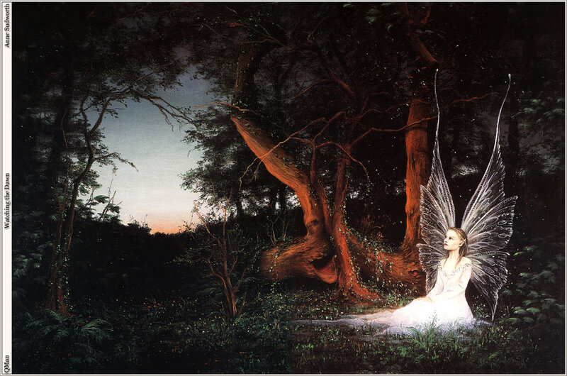 Fairy in Forest — White