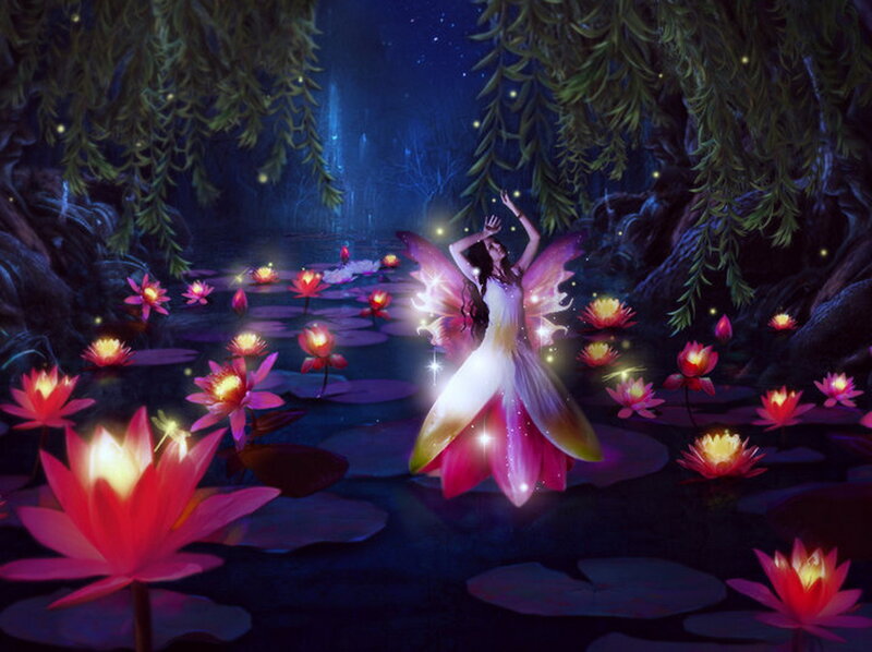 Fairy in Lotus Pond