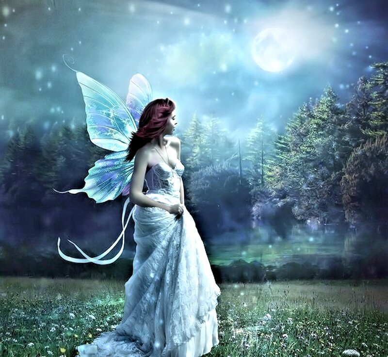 Fairy in Moonlit Forest — Blue