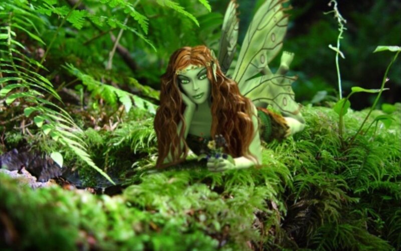 Fairy in Mossy Forest