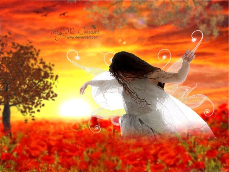 Fairy in Poppy Field