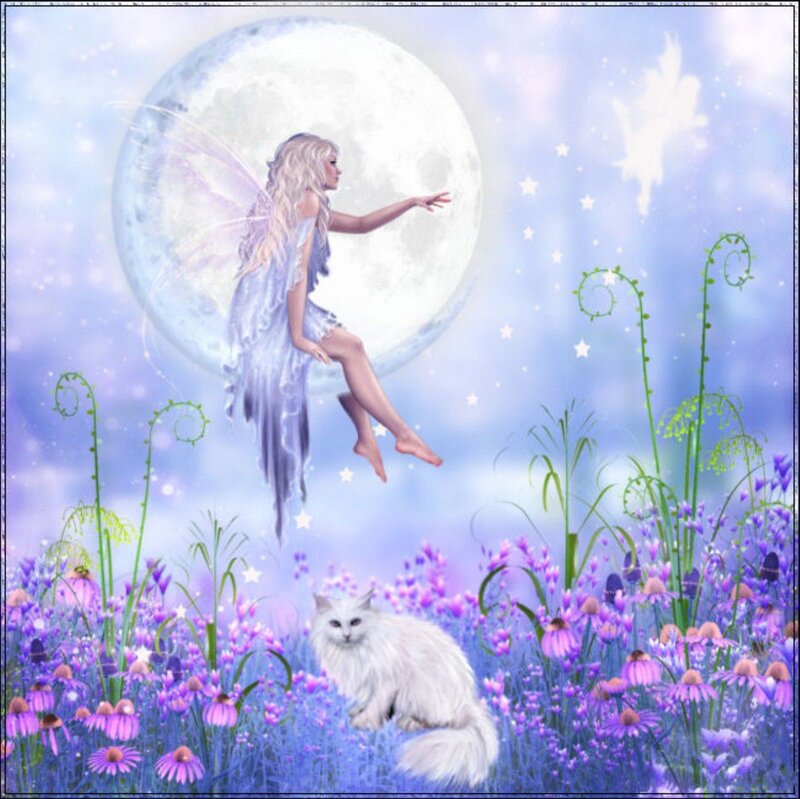 Fairy in Purple Field — Serene