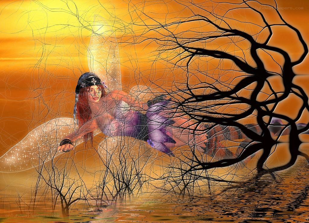 fairy in sunset landscape