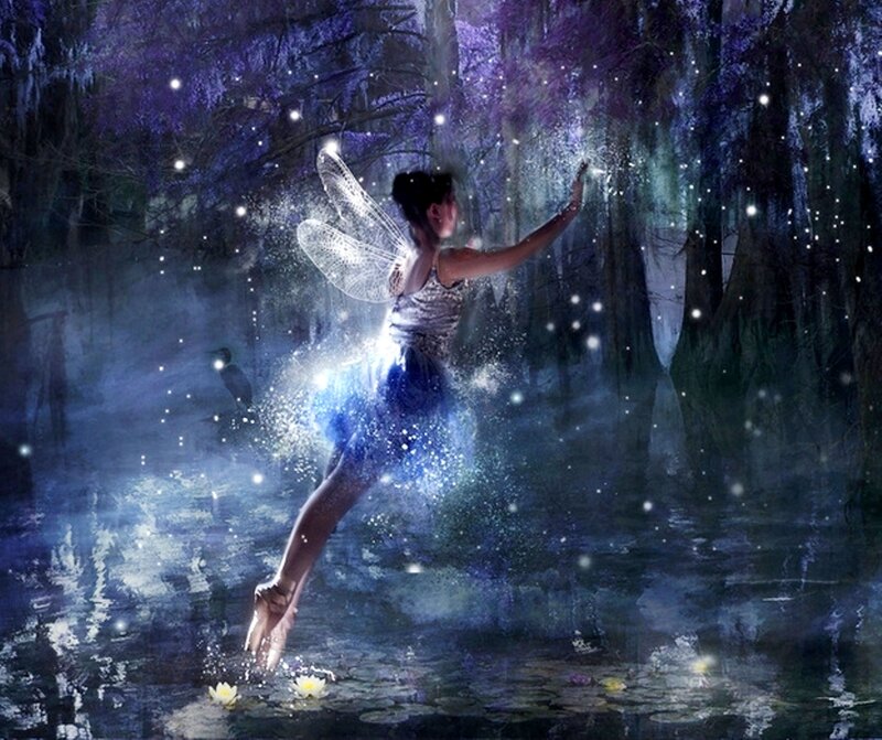 Fairy in Swamp
