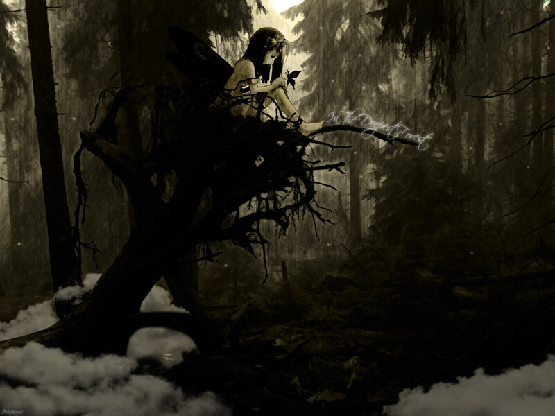 Fairy in the Dark Forest