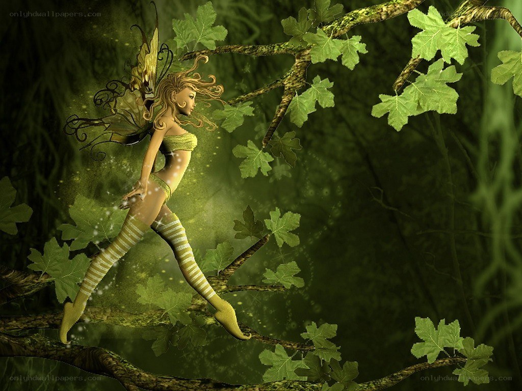 fairy in the forest