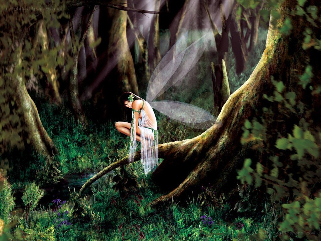 Fairy in the forest