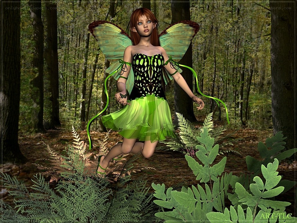 fairy in the forest