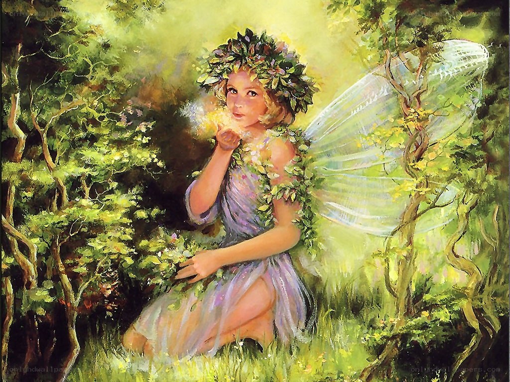 fairy in the forest