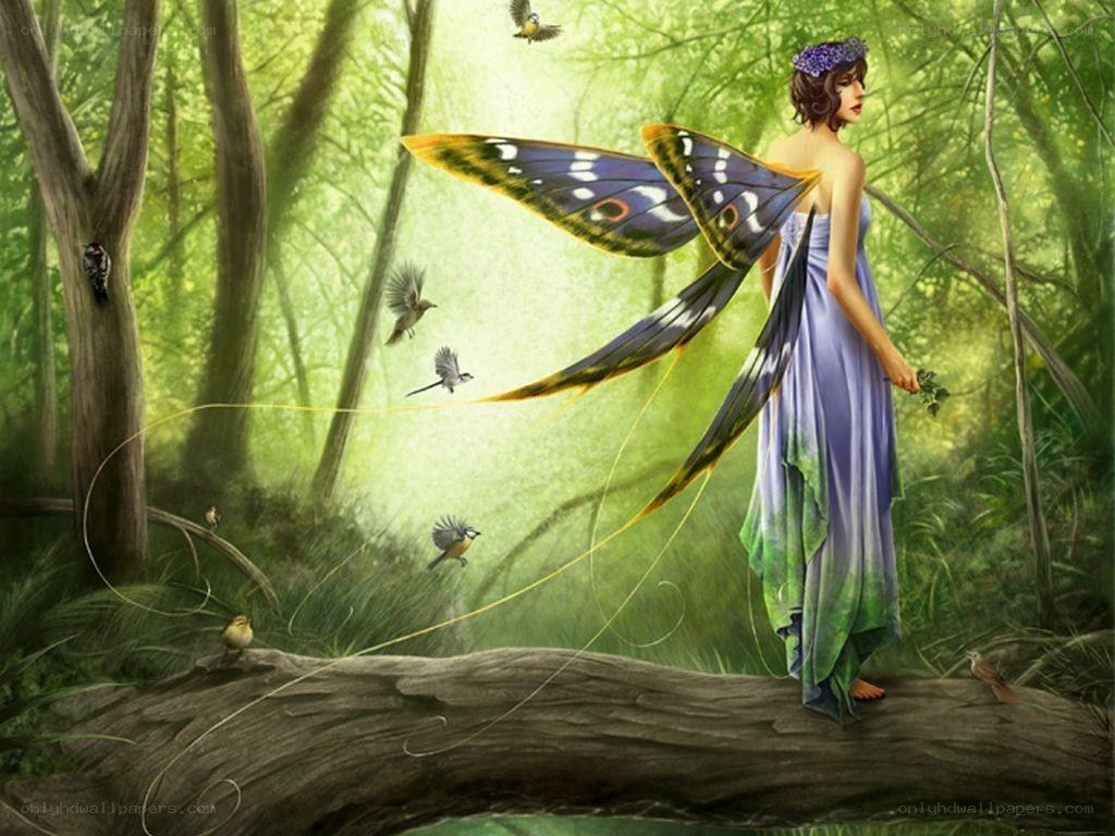 Fairy in the forest