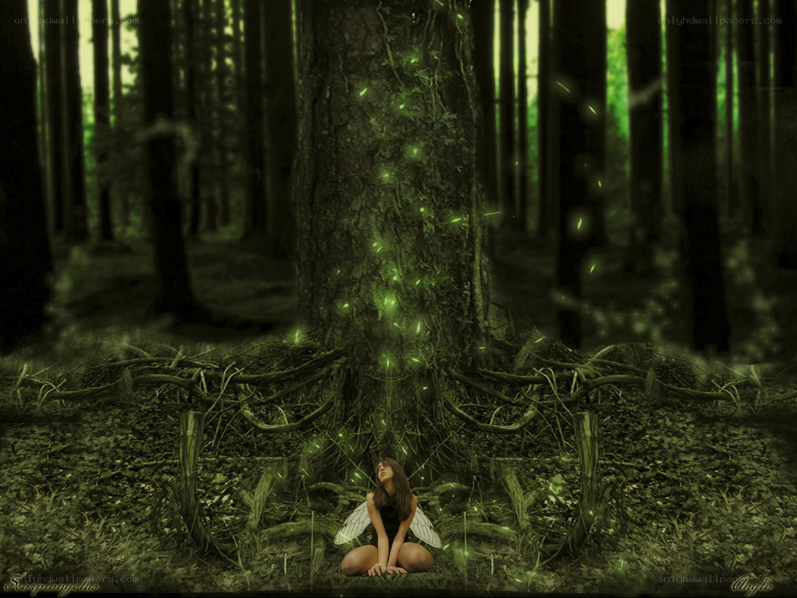 fairy in the forest