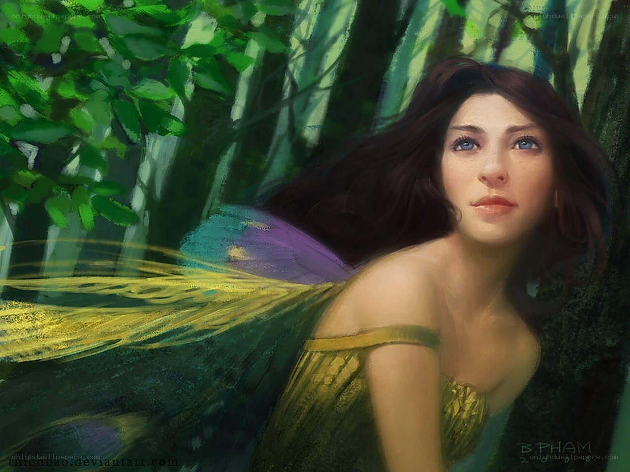 fairy in the forest