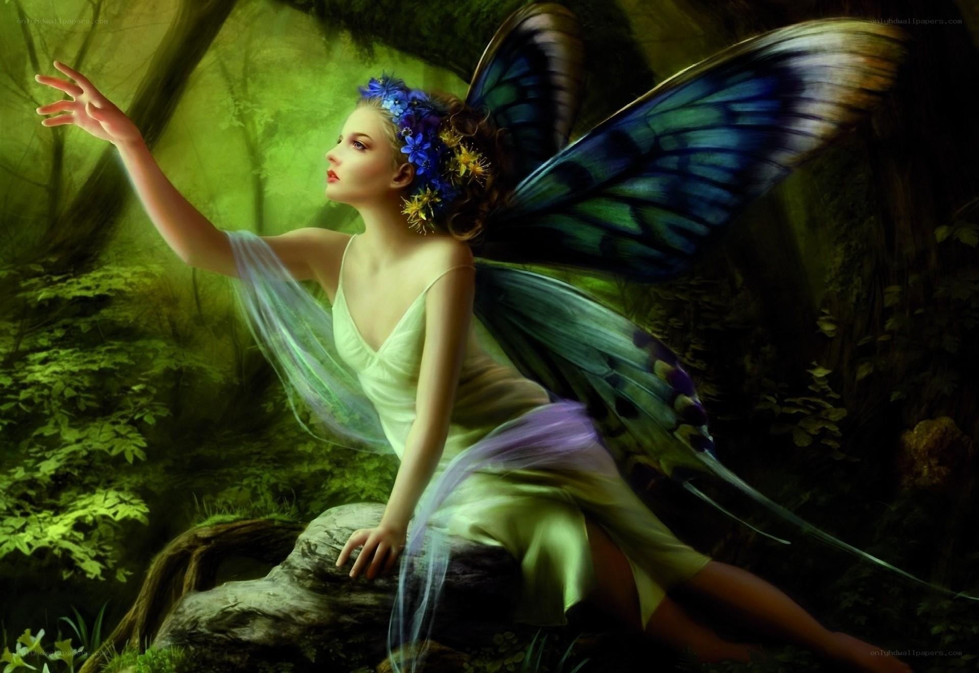 fairy in the forest