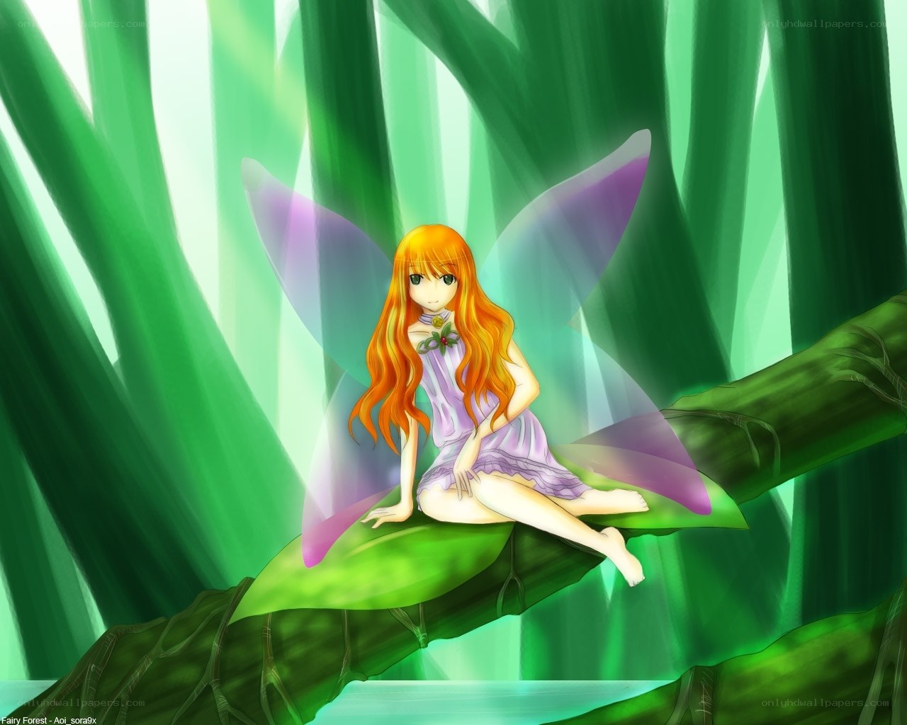 Fairy in the green forest