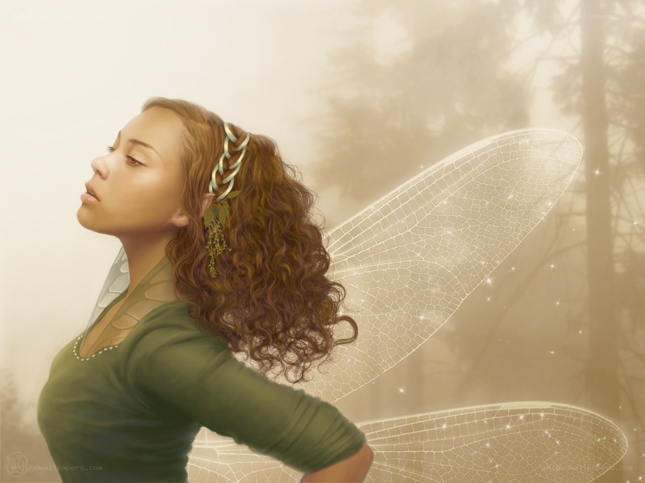 fairy in the mist