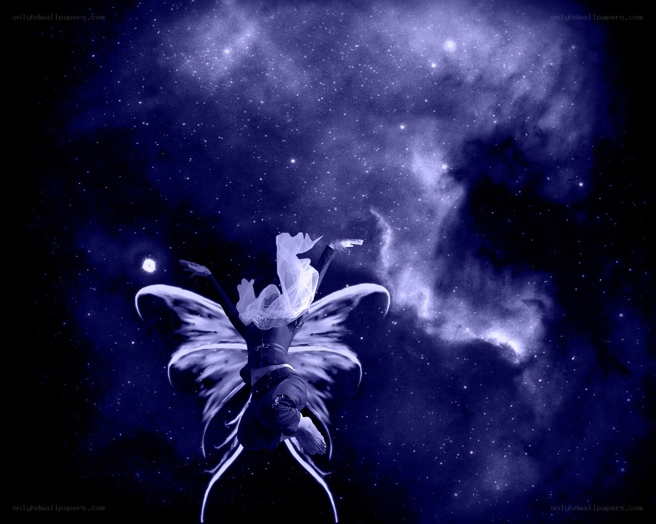 fairy in the starry sky