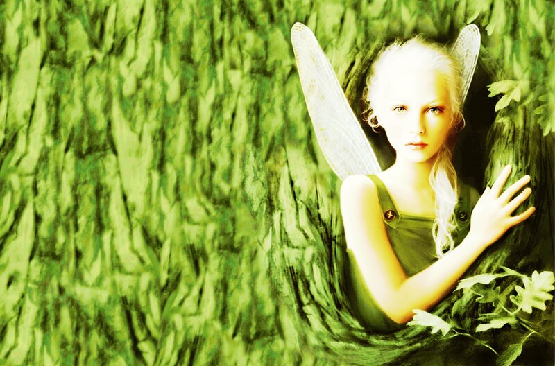 Fairy in Tree Hollow