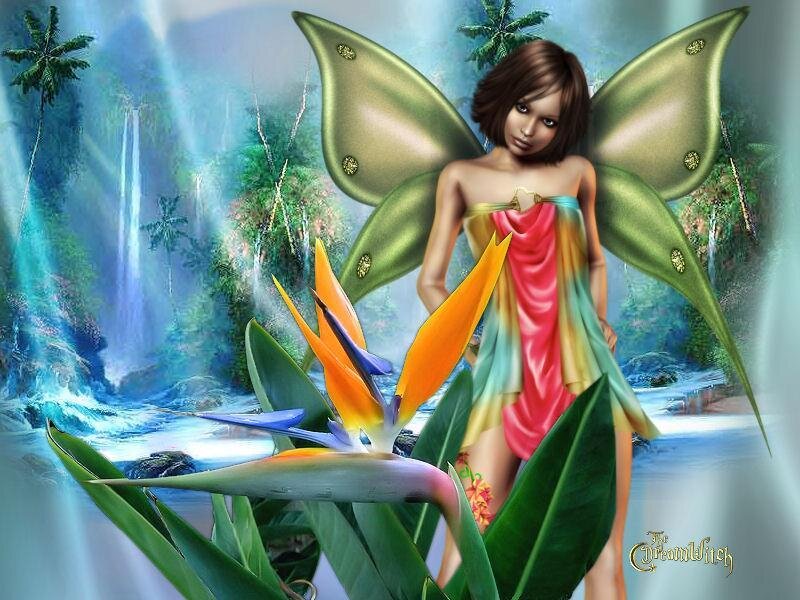 fairy in tropical paradise