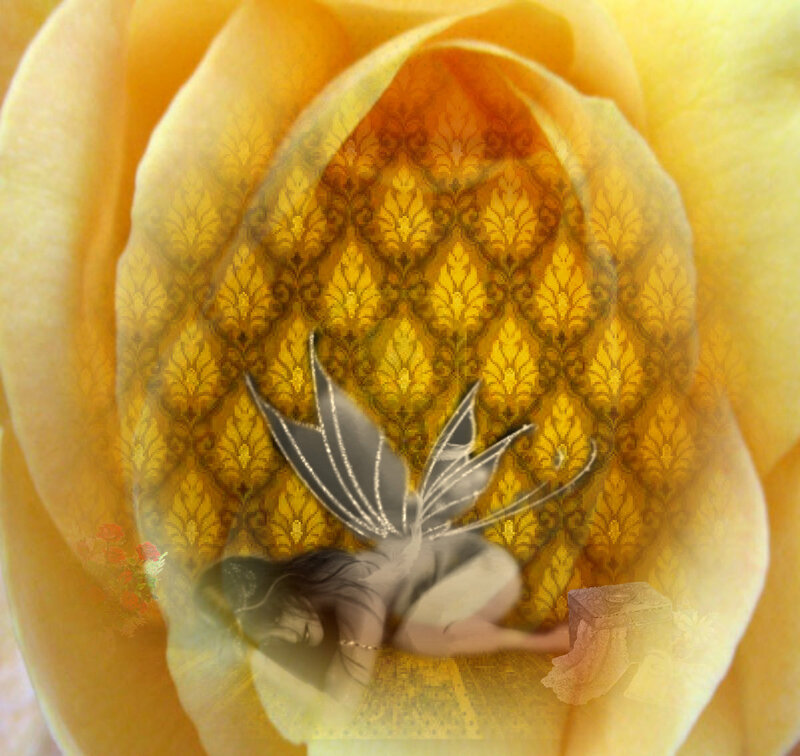 Fairy in Yellow Rose