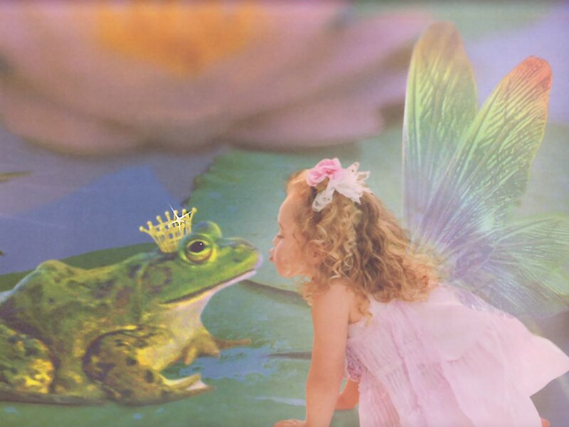 Fairy Kissing Frog