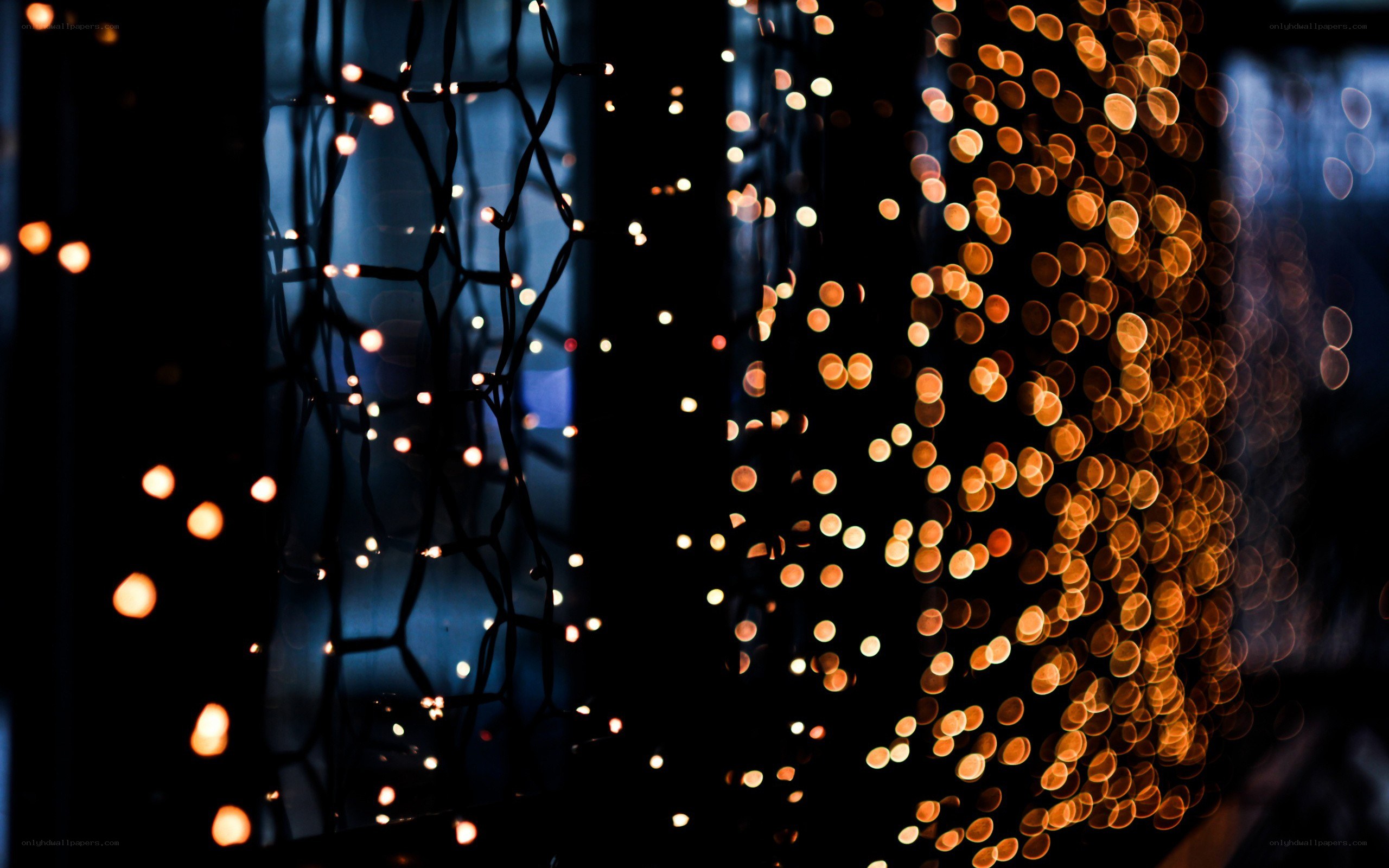 fairy lights at night