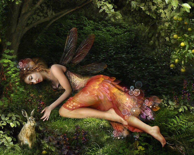 Fairy Lying in Forest — Green, Serene, Afternoon