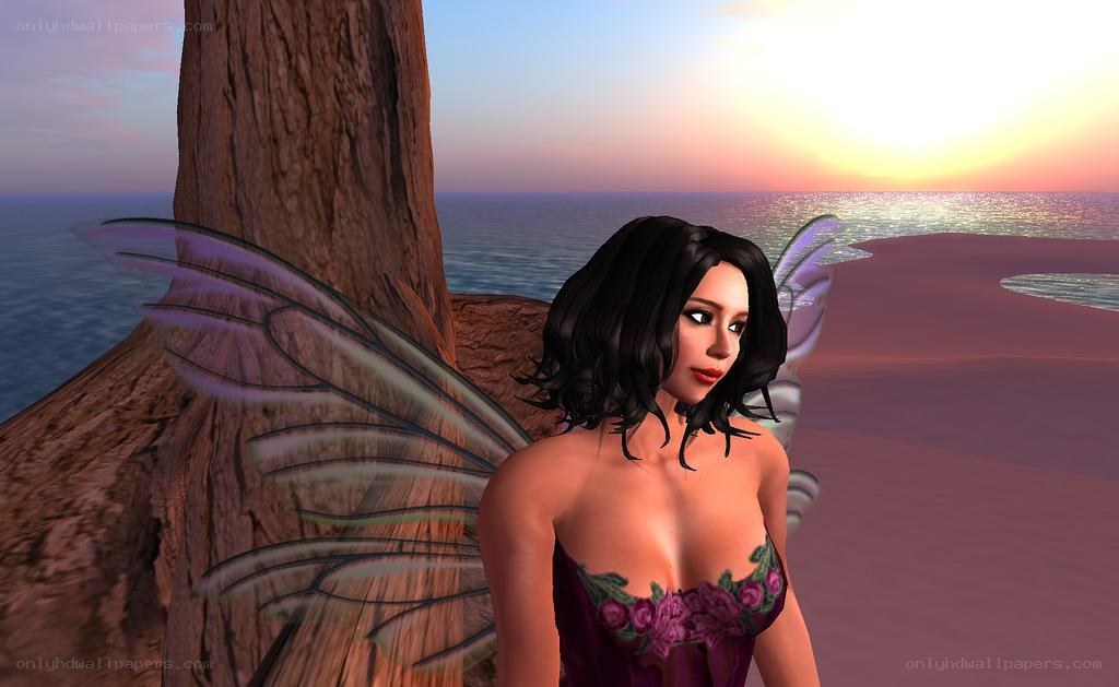 fairy on a beach at sunset