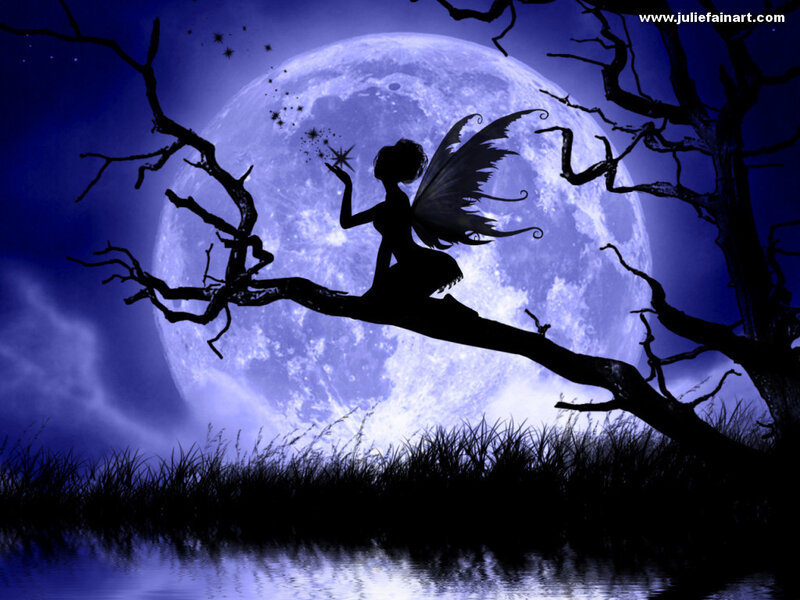 Fairy on a branch at night