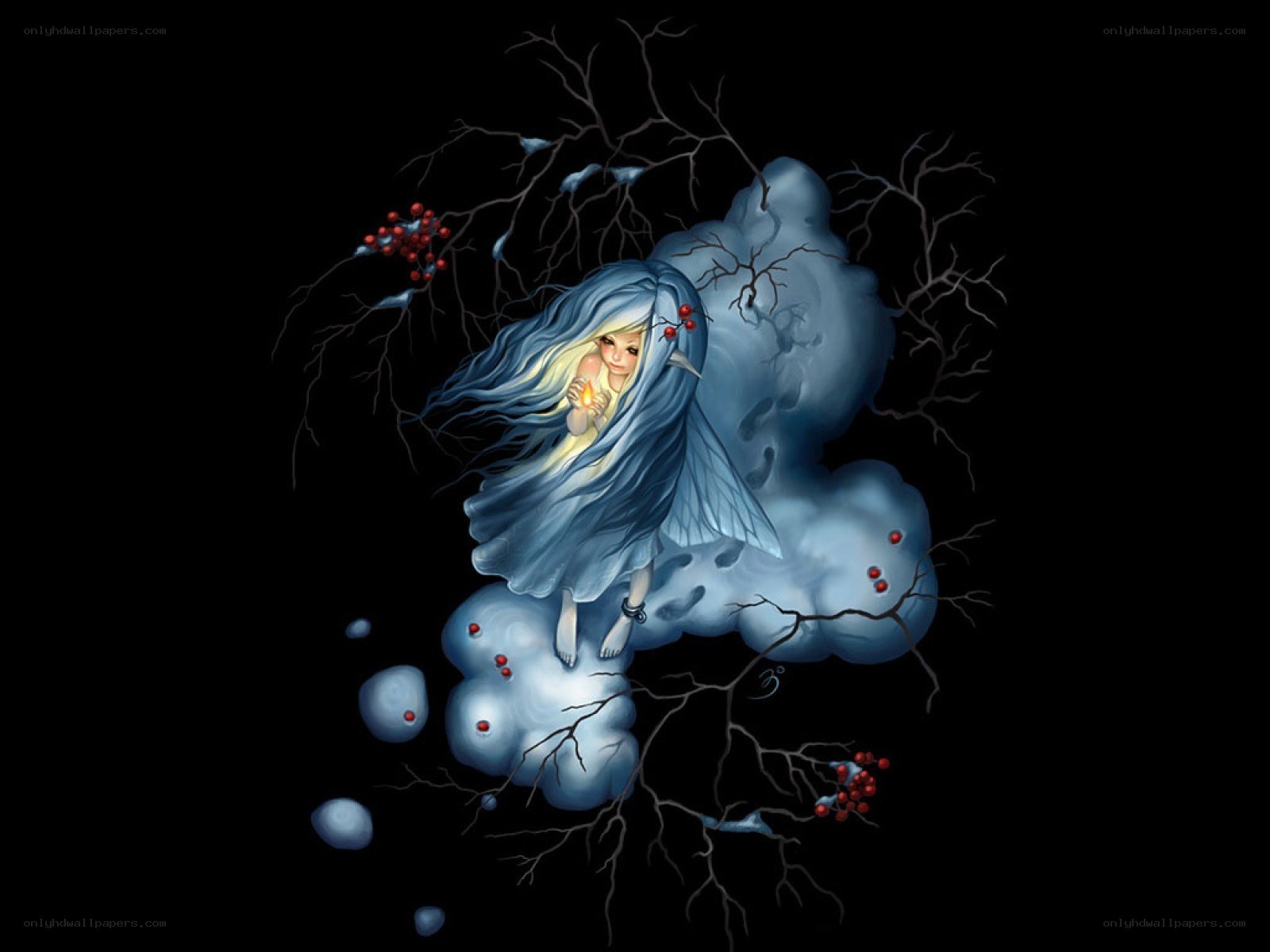 fairy on a cloud with berries