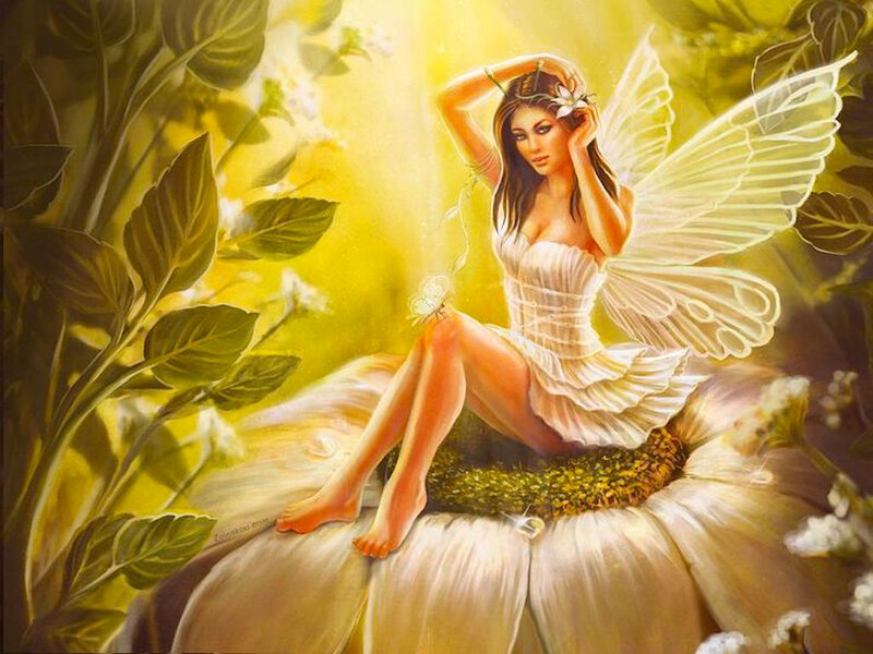 Fairy on a Flower — Yellow, Serene
