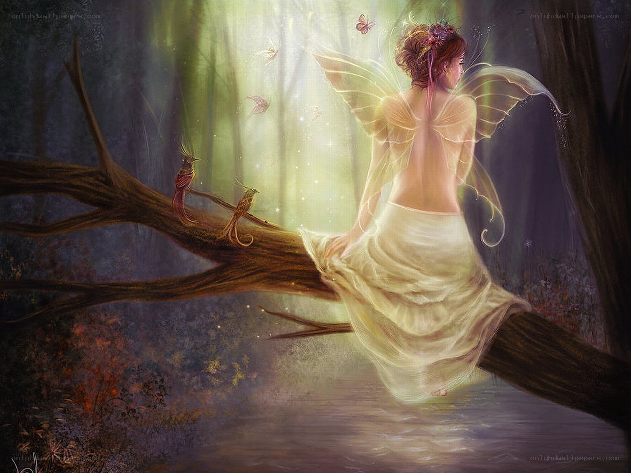 Fairy on a forest branch