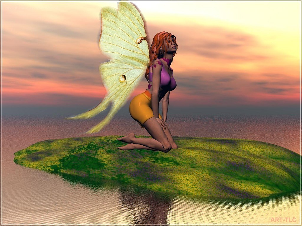 fairy on a leaf at sunset