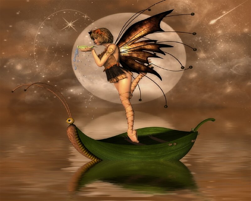 Fairy on a leaf boat