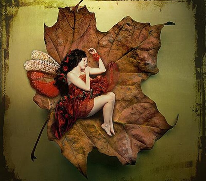 Fairy on a Leaf — Brown