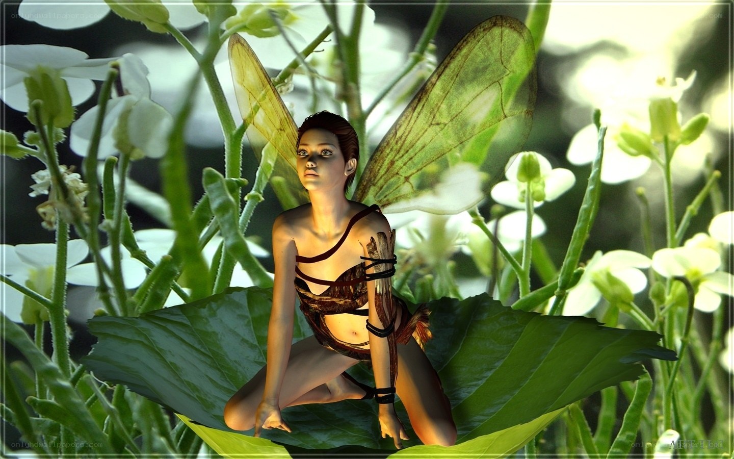 fairy on a leaf in garden