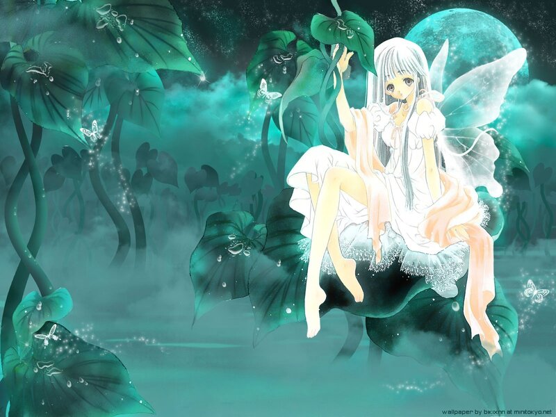 fairy on a lily pad