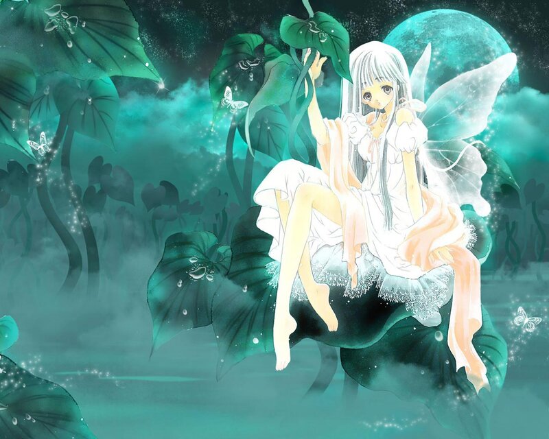 Fairy on a Lily Pad — Green, Serene, Night