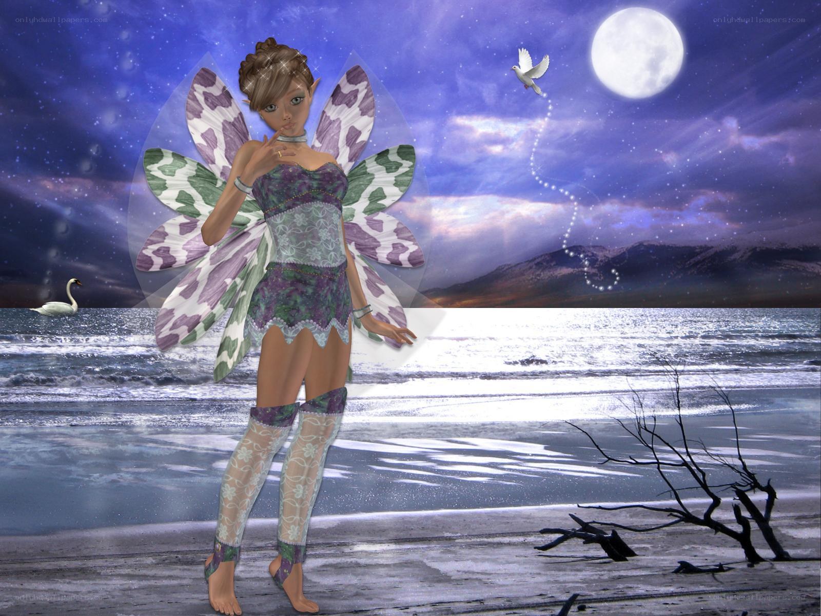 Fairy on a moonlit beach