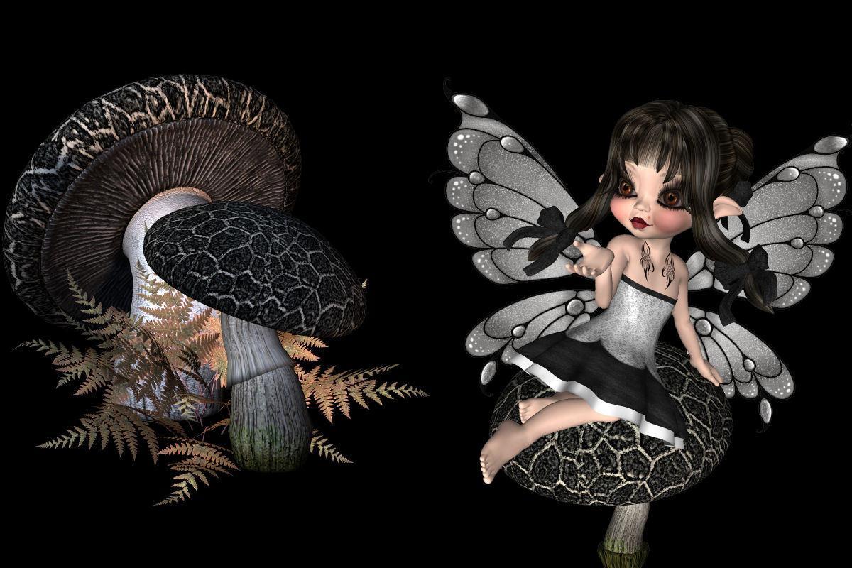fairy on a mushroom